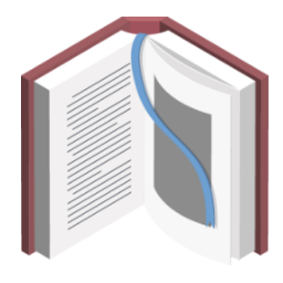 Kitap Bölümü